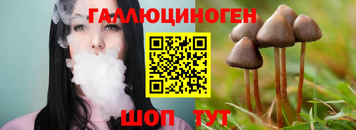 Братск  Галлюциногенные грибы MAGIC MUSHROOMS  Вход с VPN  Галлюциногенные грибы прущие грибы 